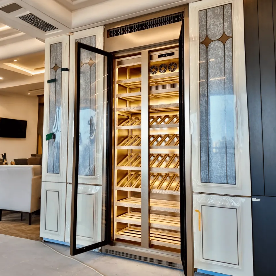 Electric USB Dual-Zone Stainless Steel Wine Cabinet with Compressor Cooling view 4